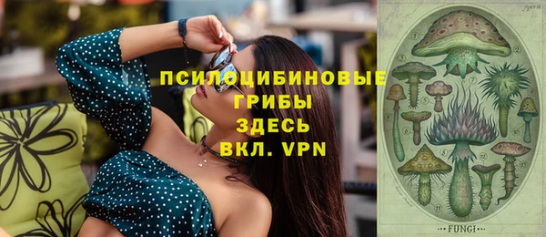 скорость Алексин