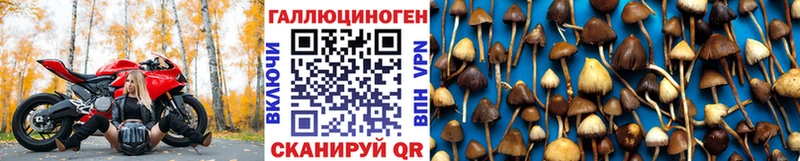 Галлюциногенные грибы мицелий Лабинск