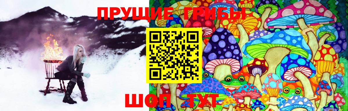 Псилоцибиновые грибы Magic Shrooms Лабинск