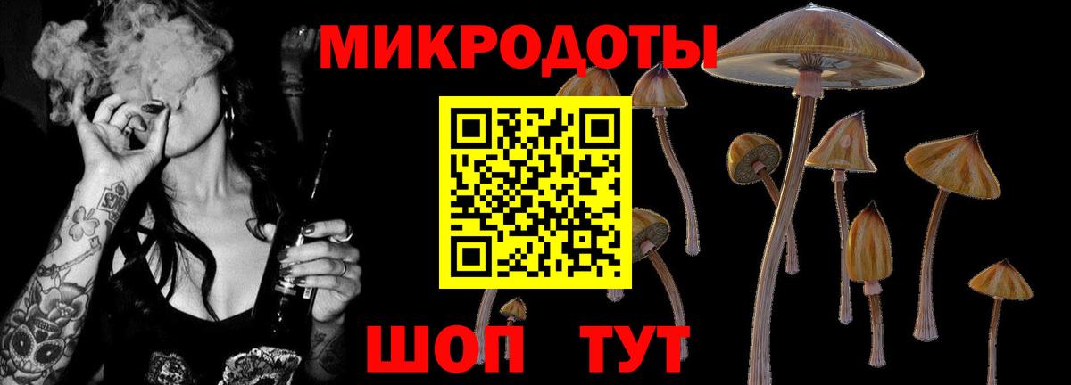 Псилоцибиновые грибы Magic Shrooms  Вход с VPN  магазин продажи наркотиков  Лабинск  Псилоцибиновые грибы GOLDEN TEACHER 